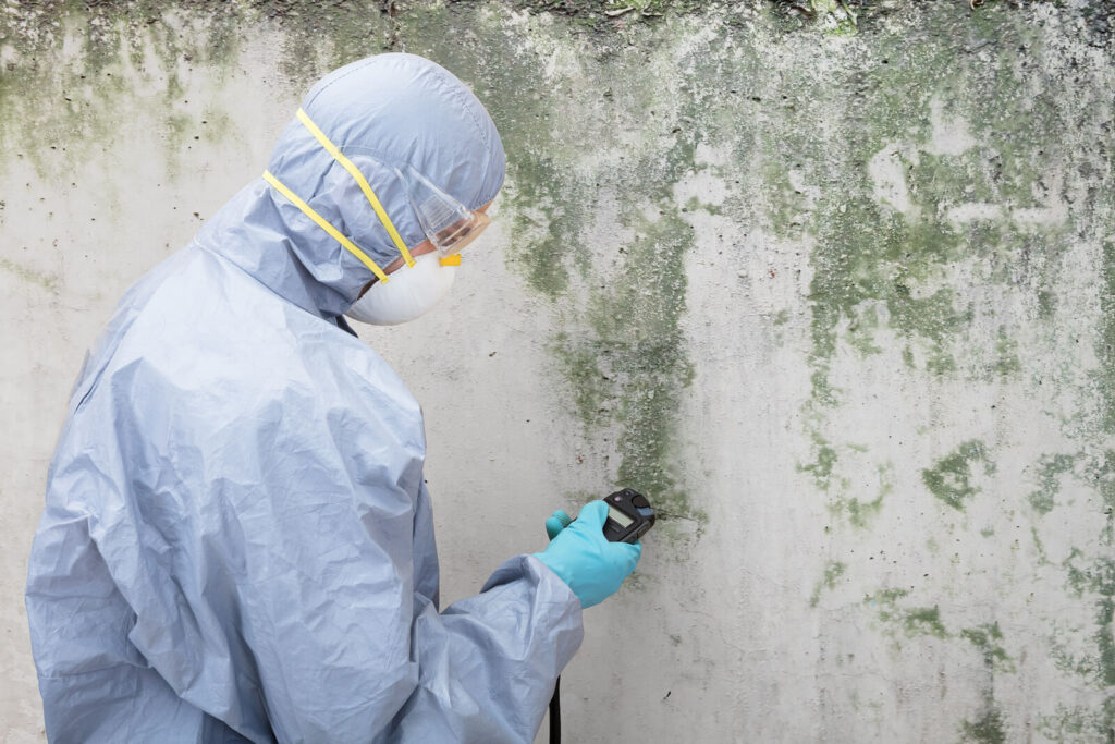 mold remediationjpg